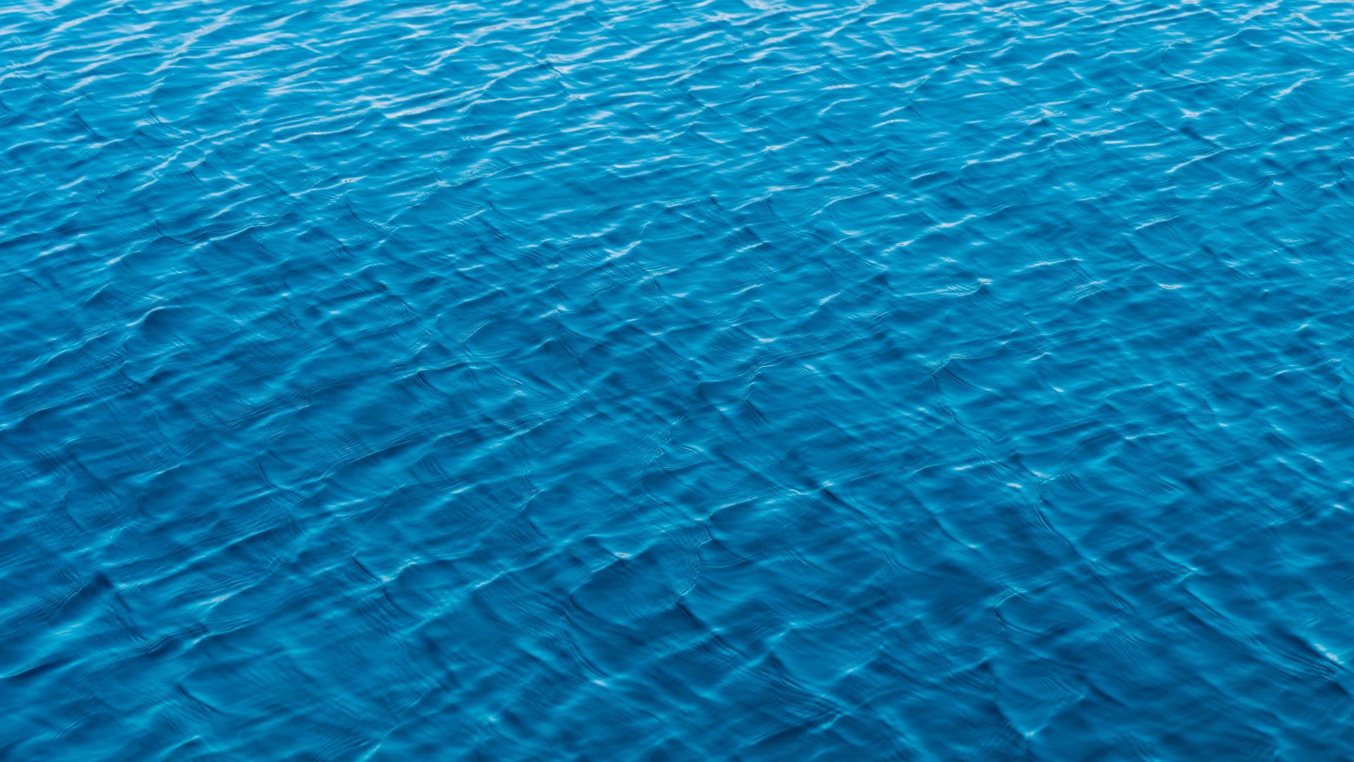 A Pool Of Water